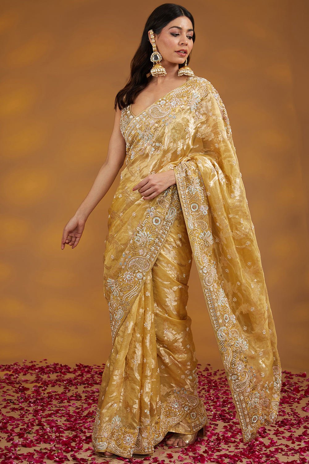 Gold Organza Tissue Hand Saree Set Set