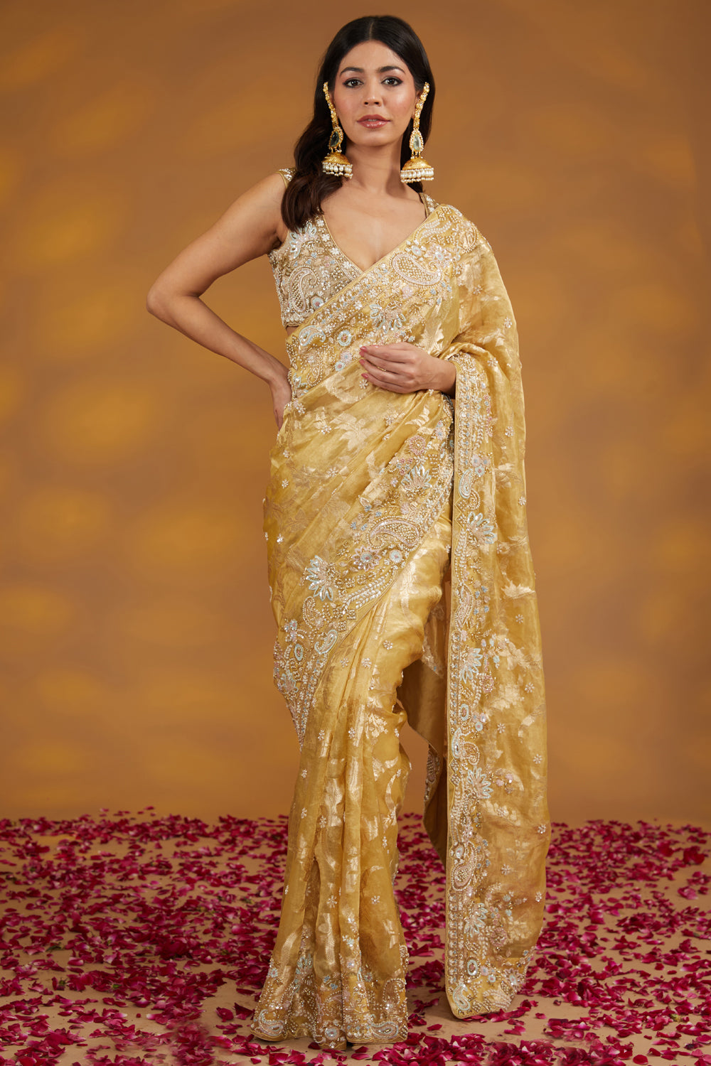 Gold Organza Tissue Hand Saree Set Set